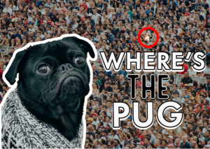 Where's the Pug
